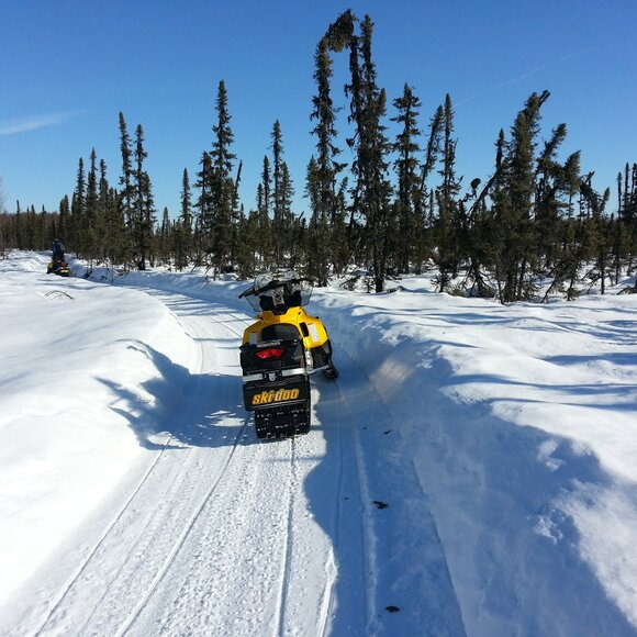 Meet your Posher, Christopher - Picture 5 of 12